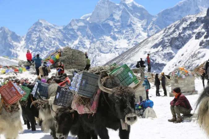 Everest Base Camp