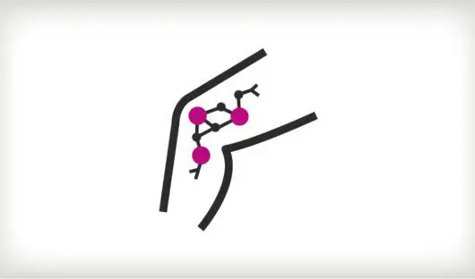Icon representing soft tissue sarcoma
