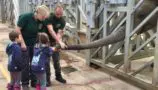 Elsa and Charlotte enjoying a trip to Noah's Ark Zoo Farm.