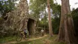 Angkor Wat Cycle