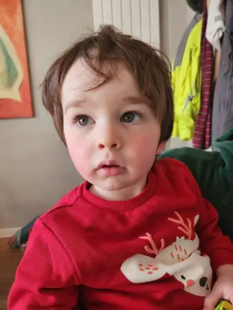 Teddy wearing a reindeer jumper