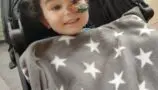 Teddy sitting in a pushchair wearing a cap under a star patterned blanket