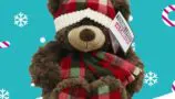 A brown bear wearing a tartan scarf and bobble hat