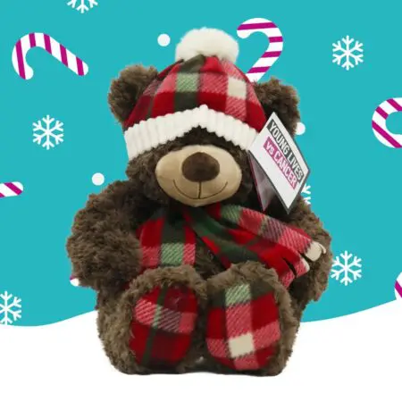 A brown bear wearing a tartan scarf and bobble hat