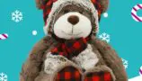 A grey bear wearing a red checked hat and scarf
