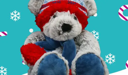 A grey bear wearing a blue scarf and a blue and red hat