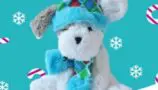 A white bear with one grey ear wearing a turquois and green hat and scarf