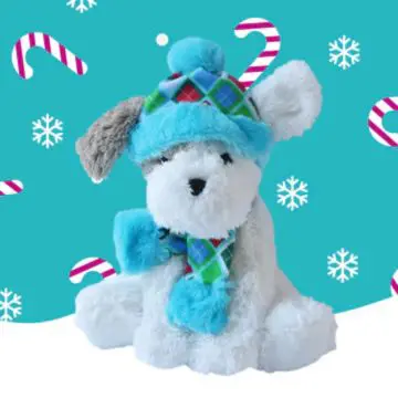A white bear with one grey ear wearing a turquois and green hat and scarf