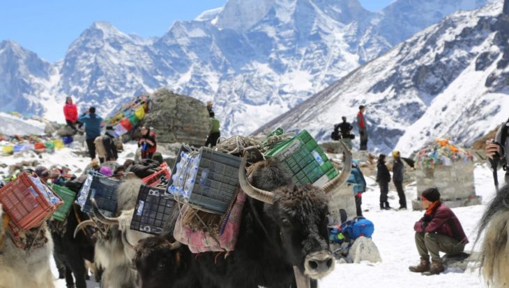 everest