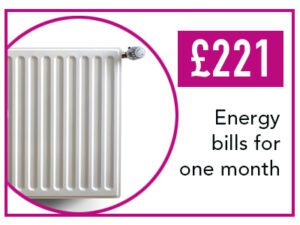 £221 could pay energy bills for one month